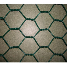 Red de alambre hexagonal (revestido de PVC) Alta calidad